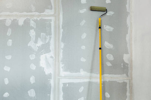 Best Commercial Drywall Repair  in Sterlington, LA